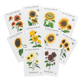 Sereniseed Sunflower Seeds Collection (10-Pack) – 100% Non GMO, Open Pollinated – Grow Guide