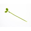 daio化成 Cable Ties Green Leaf Cable Ties in Outdoor Use