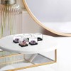 Zerodeko 12pcs Rock & Mineral Collection Box, Transparent Plastic Specimen