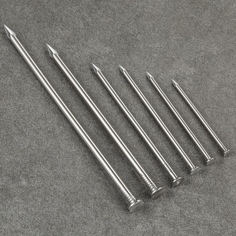 Wensilon (100 pcs)2 inch Stainless Steel 304 Nails, Hanging Nails,