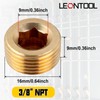 LEONTOOL NPT Male Pipe Plug Fitting Set 3/8" 10pcs Brass