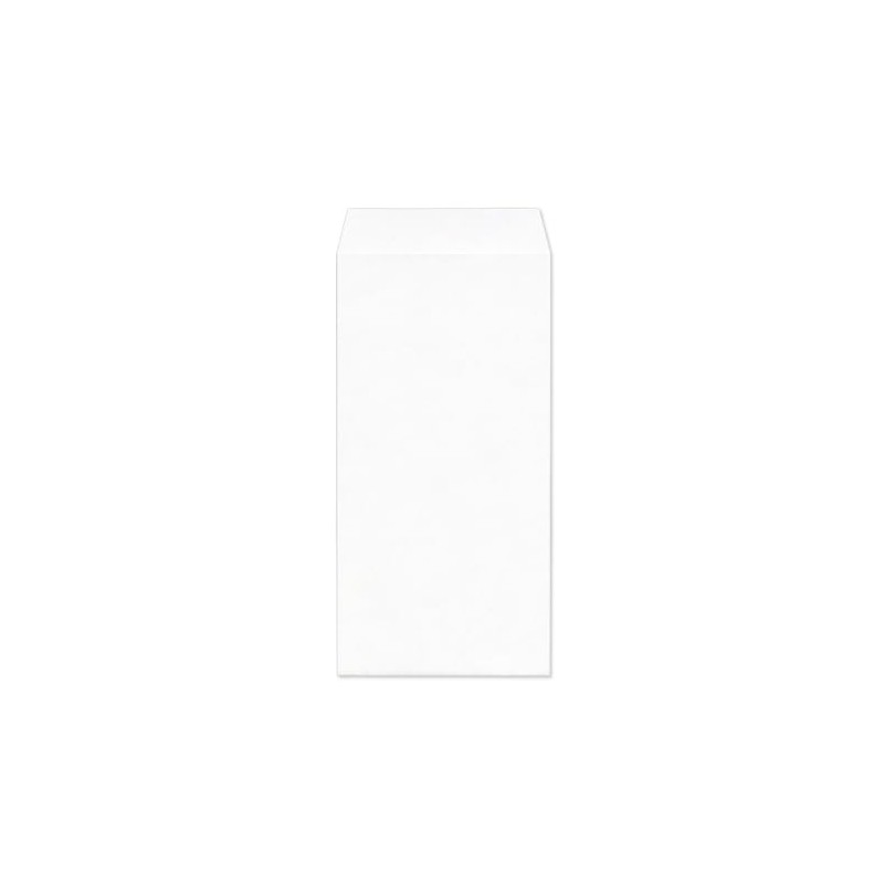 3 Long Envelopes, Pastel White, Non-See-Through, 100 Sheets, No Mailing