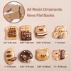 Aanxufa 50pcs Resin Bear Charms Mixed Set, Flatback Bulk Mixed