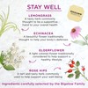 Bigelow Benefits Stay Well Lemon and Echinacea Herbal Tea, Caffeine