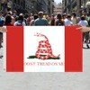 3×5 FT Dont Tread On Me Snake Flag,Large Novel Gasden