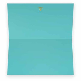 Misty Blue Place Cards - Flat or Tent Style - 10 or 50 Pack - White Blank Front Solid Color Border Placement Table Name Dinner Seat Stationery Party Supplies Occasion Event Holiday (10, Tent Style)