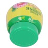 Flower and Vegetable Smart Release Plant Food 0.55lb Slow Release