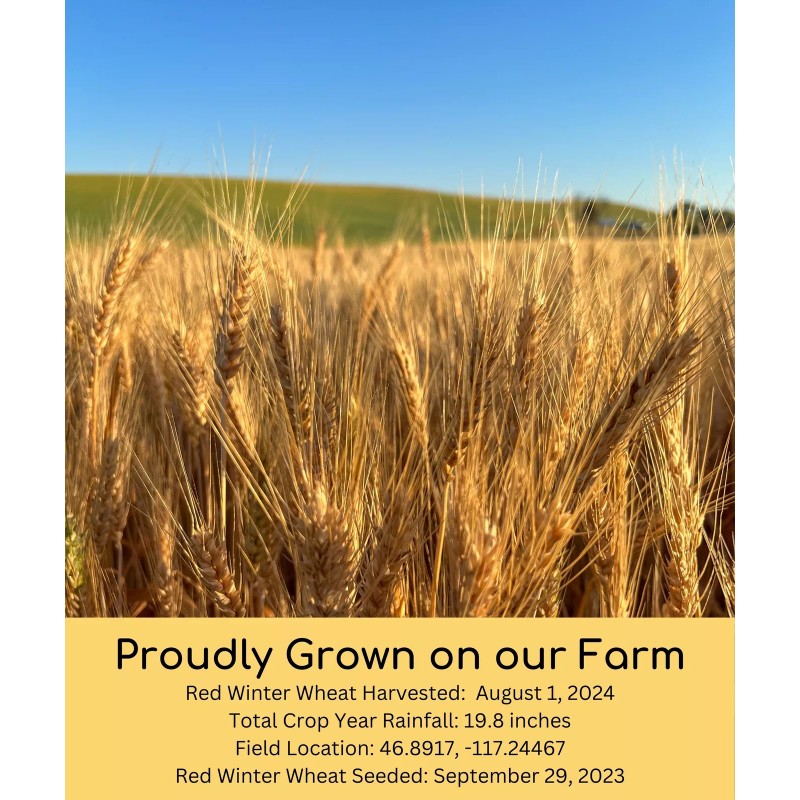 Palouse Brand Bulk Red Winter Wheat Berries, 18 LBS