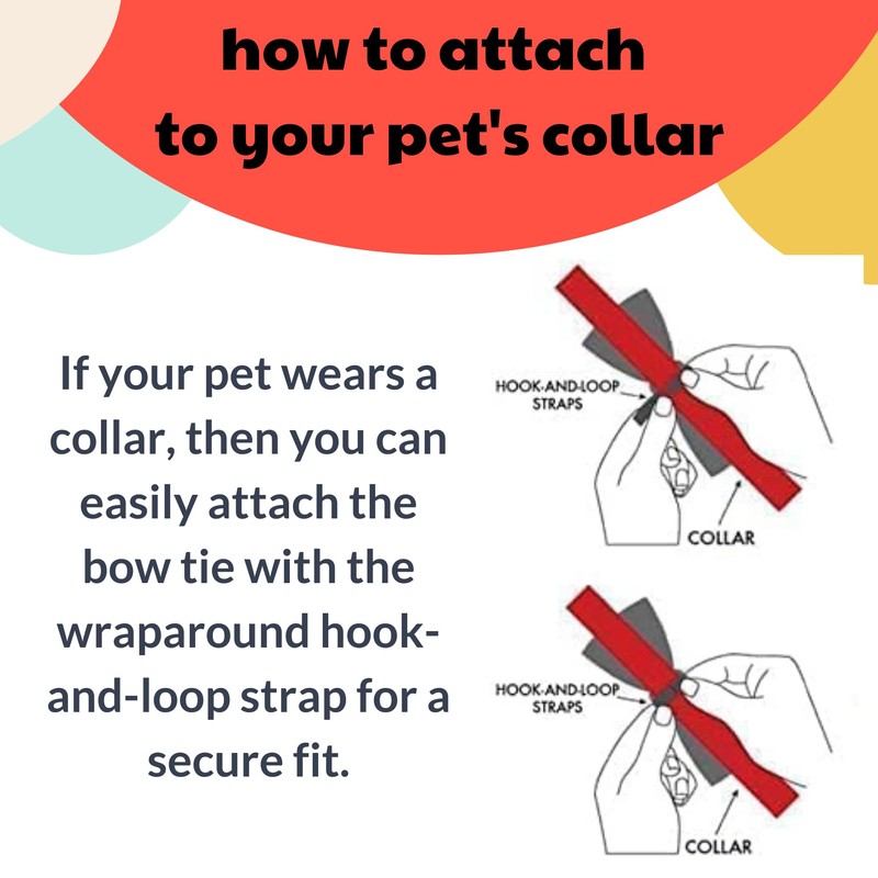 Huxley & Kent Pet Bow Tie for Dogs & Cats