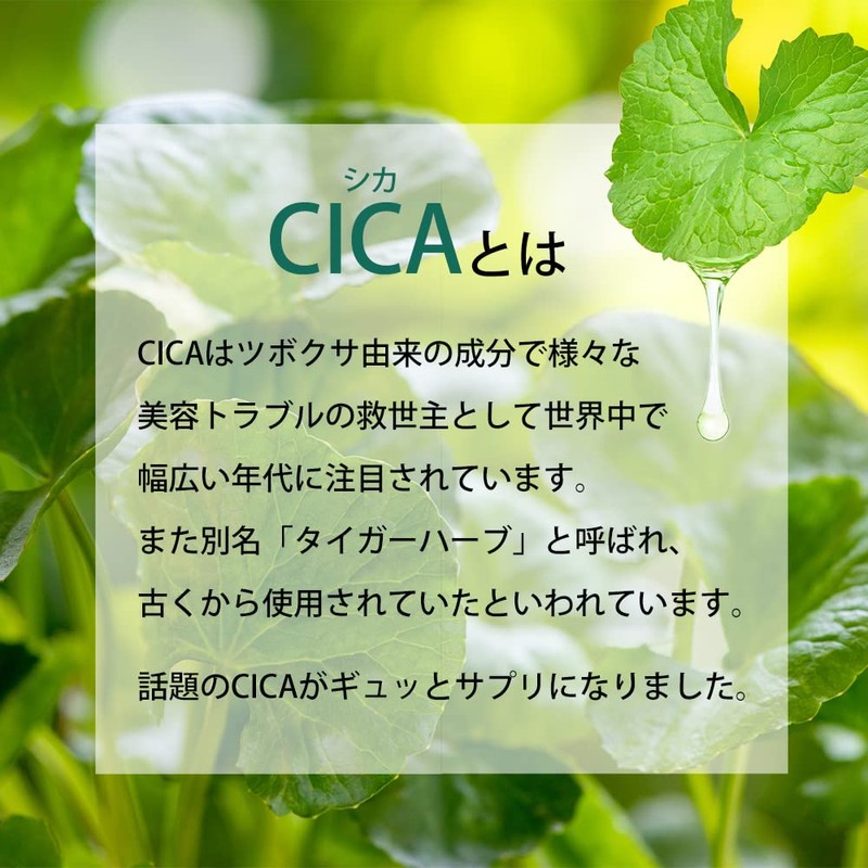 【リプサ公式】 CICA 約1か月分×3袋 T-803-3 サプリメント