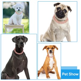 Glitter Diamond Dog Collar Rose Gold Walking Metal Dog Chain Collar with Design Secure Buckle Pet Jewelry Accessories for Small Medium Large Dogs Cats