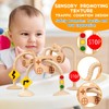 Baby Suction Cup Toys for Highchair - Sensory Silicone Toys