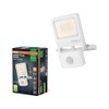 OSRAM ENDURA® Flood Sensor Warm White PCR