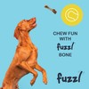 Fuzzl Ultra Tough Nylon Dog Chew Toy - Wishbone and