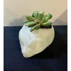 Glow in the Dark Space Alien Head Planter - Mini