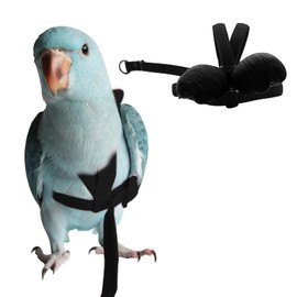 Peony Harness and Leash, Adjustable Parrot Bird Training Design Anti-Bite, Bird Nylon Rope with Cute Wing for Peony Parrot and Same Size Birds (M, Black)