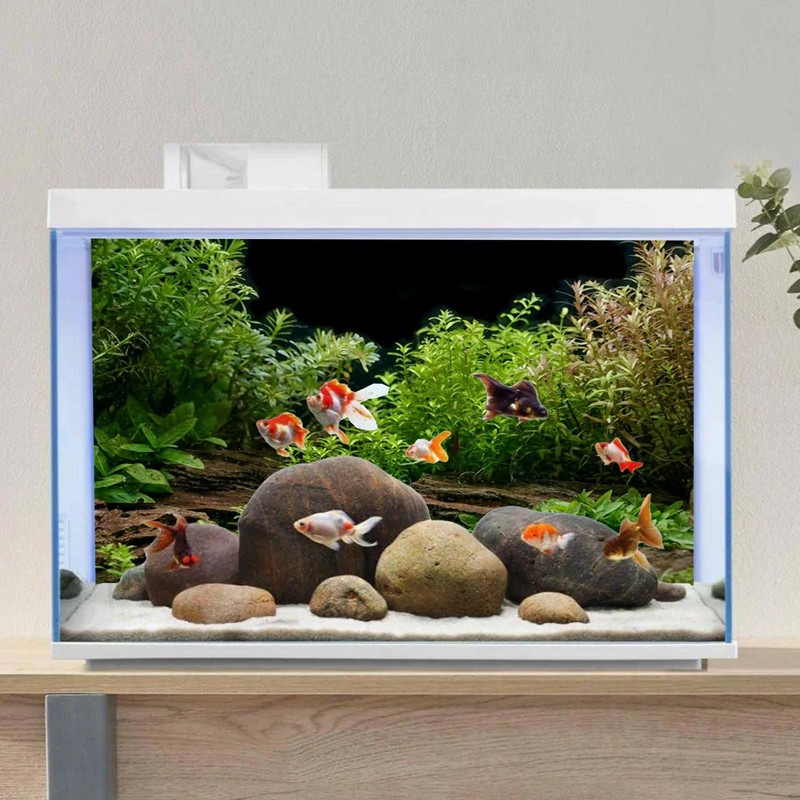 AWERT Aquarium Background River Bed & Lake Aquatic Plant Fish