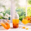 Lallisa 12 Pcs Plastic Cocktail Shaker Drink Mixer with Scales