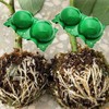Markeny Reusable Plant Rooting Ball, Plant Propagation Root Ball Effective