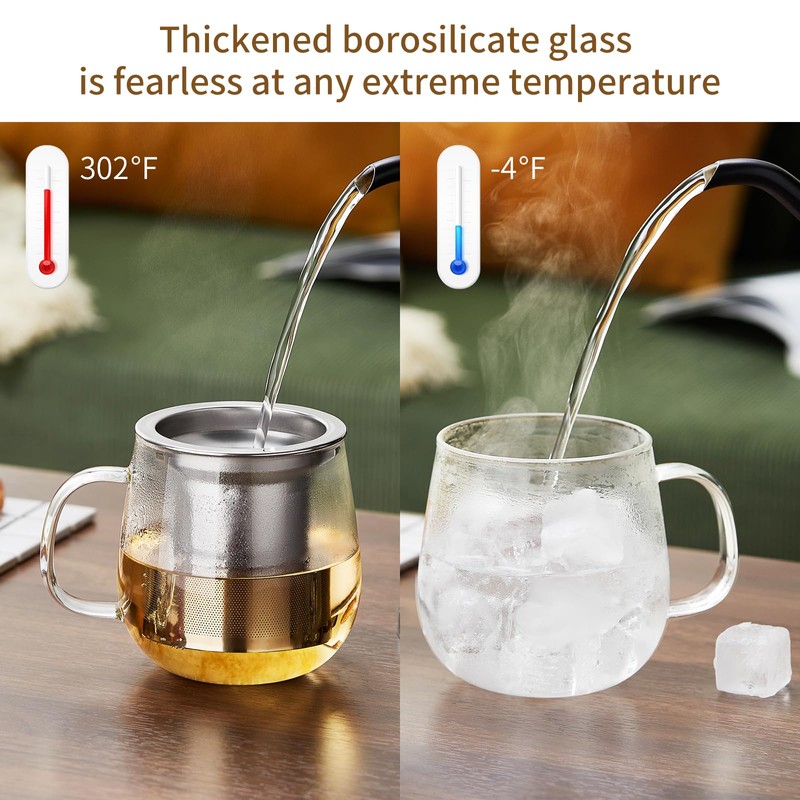 DOPUDO Glass Tea Cup with Infuser and Lid, 17.6oz/520ml Large