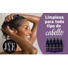 Shampoo enriquecido con Biotina JYE, orgánico libre de químicos. Tratamiento
