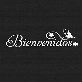 Jeyfel Decals Front Door Sign: Bienvenidos Vinyl Decal. Welcome Sign in Spanish: Bienvenidos. 16" W x 4" H. 3 Display Options. with or Without Butterfly and Flowers. Customize Your Color.