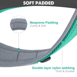 Joytale Hundehalsband, Weich Gepolstert Neopren Halsbänder für Mittlere Hunde, Nylon Reflektierend Breit Halsband Hund, Türkis