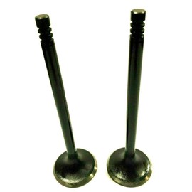 Lil Red Barn Two Intake Valves 110-3479, Compatible with Onan P216 P218 P220 Generator Engines, Replacement for LX720 LX770
