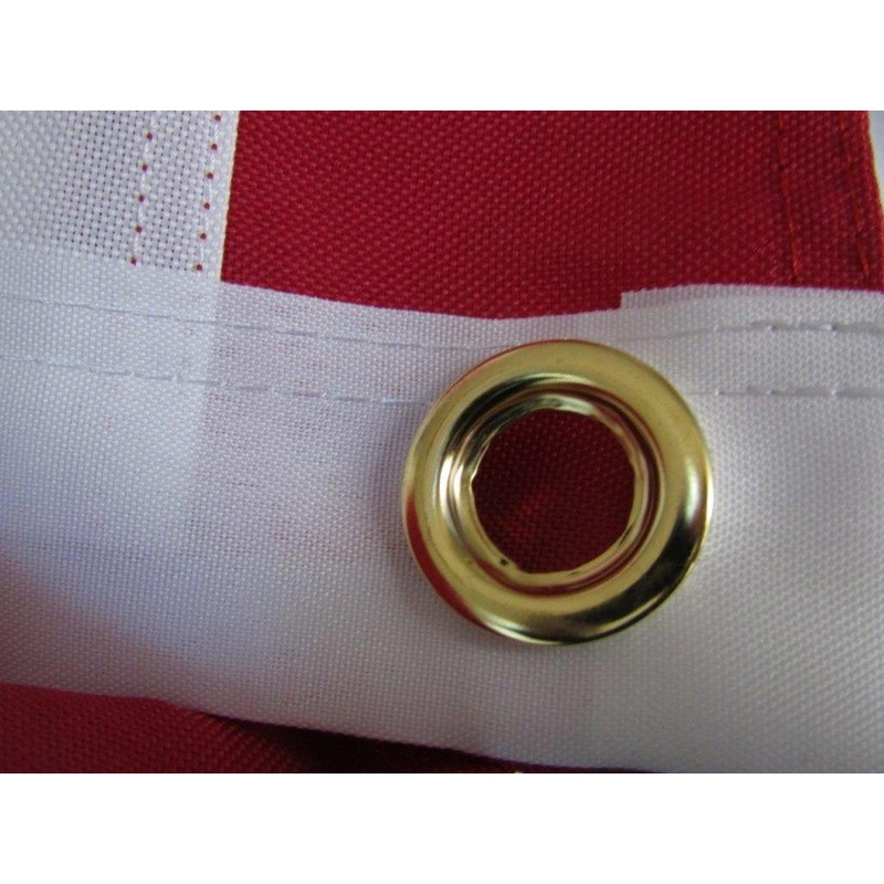 AES 3x5 Embroidered Sewn USA Israel American Star David 600D