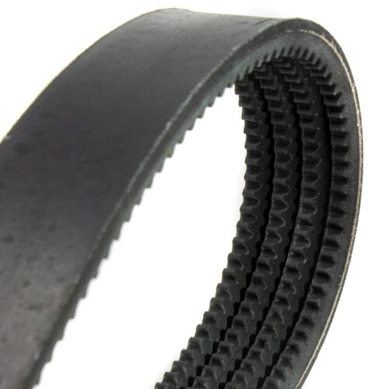 WSbaodan Drive Pump Belt 4 Rows 6662855 Fits for Bobcat