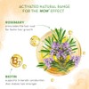 WOW Skin Science Champú De Romero Con Biotina De 16.9