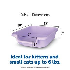 KittyGoHere Senior Cat Litter Box 1 Pack, Small Storybook Lavender Low Entrance Kitty Litter Box, Perfect for Senior and Arthritic Cats, Made in USA – Includes Long-Handle Jumbo Scoop