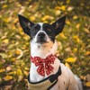 Maca Bates Fall Dog Collar with Sailor Bow Tie Autumn