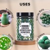 Generic Spirulina Powder, 300g [All-natural and Mineral-rich Detoxifying Supplement]