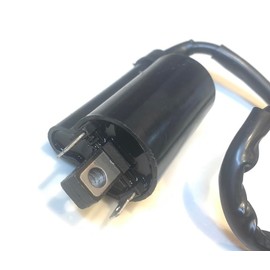 Deepa Ignition Coil, Mounting Pitch, 3.1 inches (80 mm), Villago 250, Villago 400, TRX800, Dragster 250, Dragster 400, Majesty 250C, etc