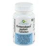 Enterobact -pylori tablets, 30 tablets (16.5 g)
