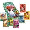 Gameworks ASMJAI01 Jaipur Card Game