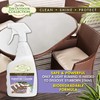 STAR BRITE Outdoor Collection Furniture Cleaner Spray - All-Surface Cleaner