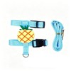 Bunny Harness and Leash for Rabbits,Bunny Vest Leash Eescape Proof