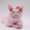 Sphynx Cat Apparel Kitty Clothes Warm Autumn and Winter Hairless