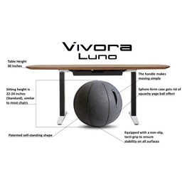 Vivora Luno Exercise Ball Chair, Canvas & Felt for Home Offices, Balance Training, Yoga Ball