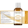 Vanilla Oleoresin Essential Oil 1 oz / 30 ml 100%