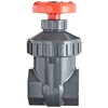 Spears PVC Gate Valve, Non-Rising Stem, Viton O-Ring, 1" Socket