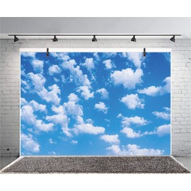 Qinunipoto Nature Scenery Blue Sky White Clouds 2.2x1.5m Commemorative Photography Photography Background Photo Studio Photography Background Photo Studio Decoration Party Background Portrait Home