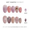 Color Gel Japan Artist Series Cats Eye Gel (AE23 Peach