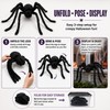 Giant Light-Up Spider for Halloween Decor – Poseable Black Plush