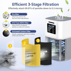 Ecleanfy A1 Filter Compatible with VEWIOR Air Purifie-r A1, HQSC-50, HQKJ-80, AMEIFU AP01W, KOIOS HQKJ-50 Tailulu PUR0003, H13 True HEPA Filter for Pet Hair Smell, 2 Pack