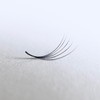 Ready-to-Use 5D Volume Eyelash Fans (Pack of 500) D-Curl CC