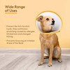 Animal Ortho Care Pet Cone - E-Collar | Dog Cone