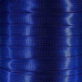 West Coast Paracord 1-Inch Tubular Nylon Webbing – Premium Heavy Duty Lightweight with Breaking Strength of 4000 Pounds – Outdoor All Purpose Straps for Climbing and Securing (Royal Blue, 1 Yard)